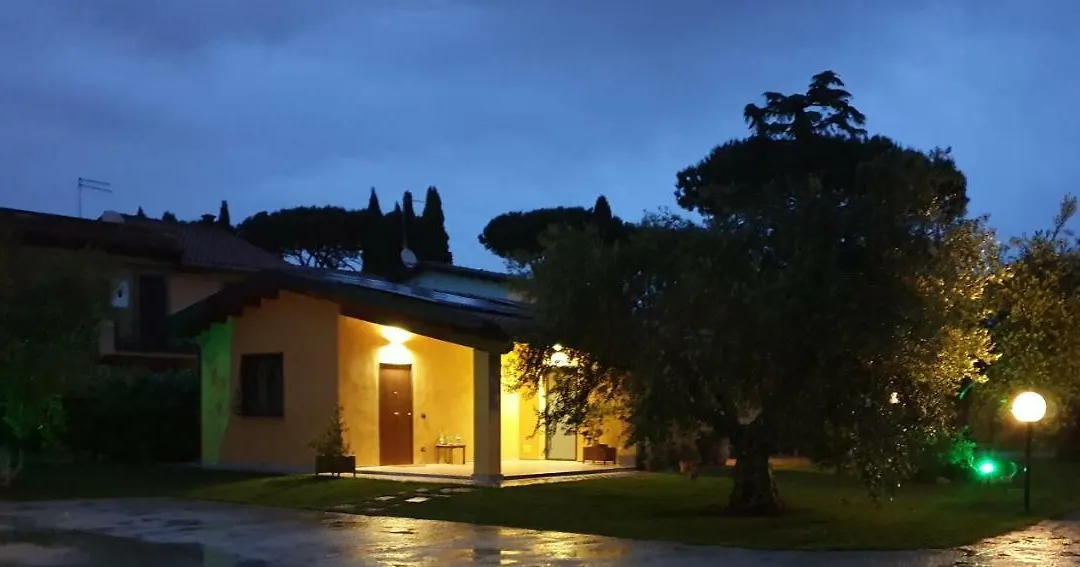 L'Antico Vigneto-1